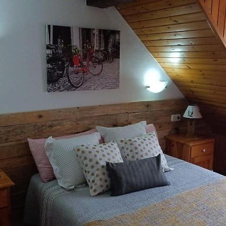 Co D'Eric Appartement Vielha e Mijaran Buitenkant foto