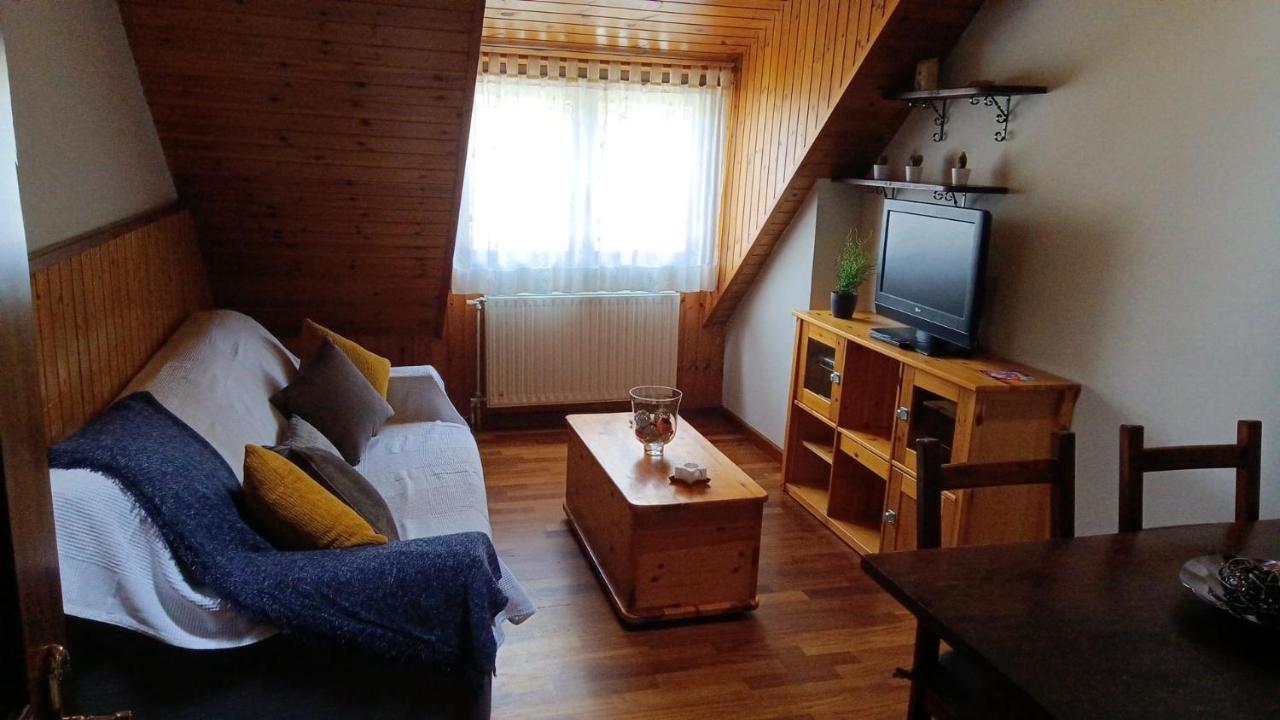 Co D'Eric Appartement Vielha e Mijaran Buitenkant foto
